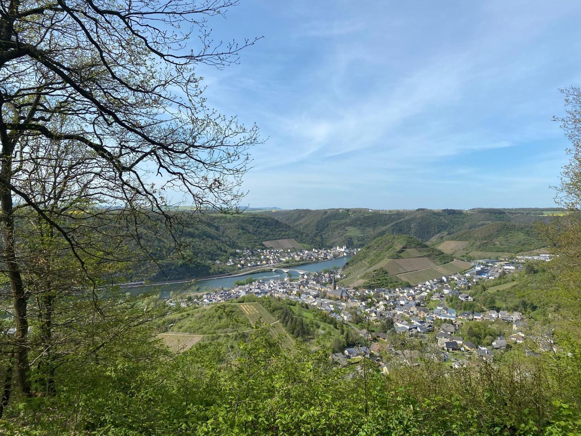 Mike'S Mosel Lodge Treis-Karden Esterno foto